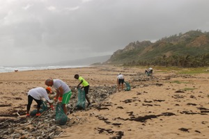 Volunteers cleaning a beach